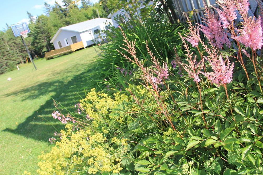 Hidden Acres Cottages Cavendish Buitenkant foto
