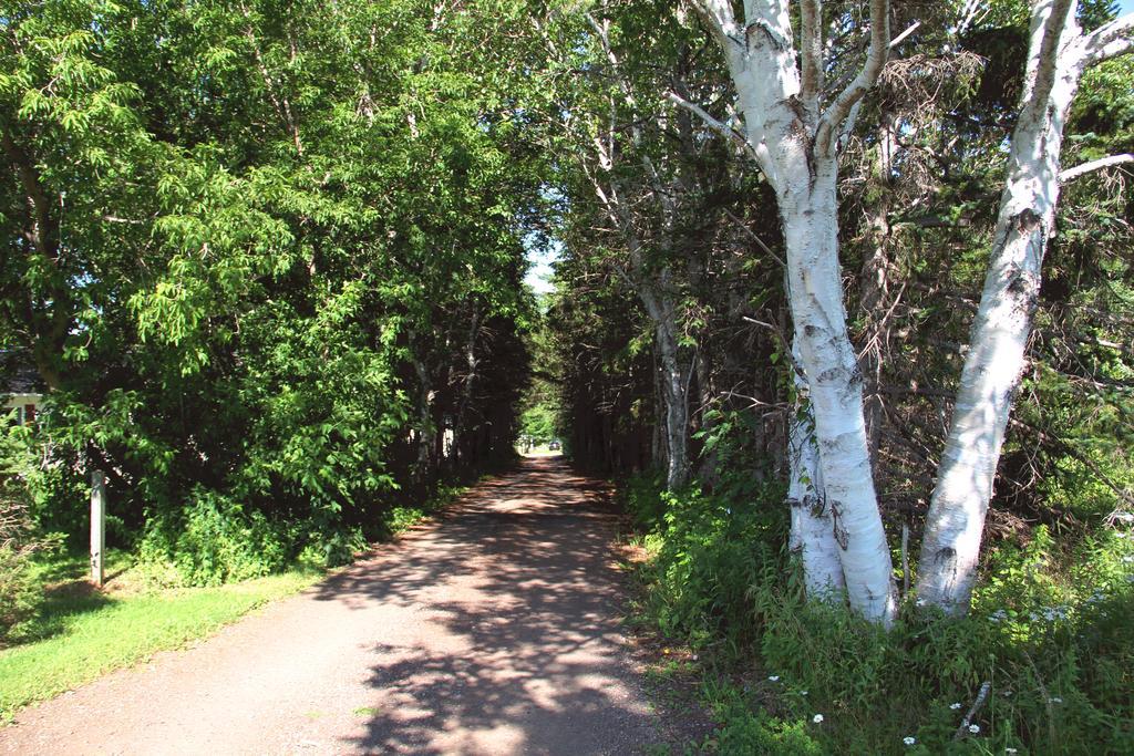 Hidden Acres Cottages Cavendish Buitenkant foto